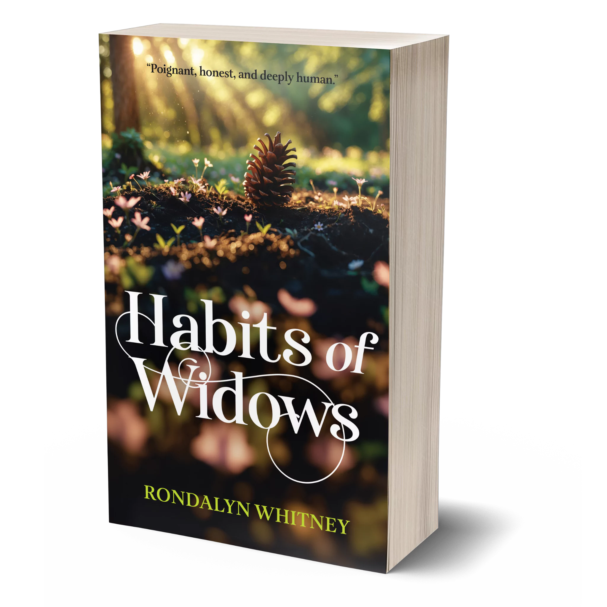 ebook cover Habits of Widows